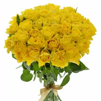 Kytice 35 žlutých růží VIVA