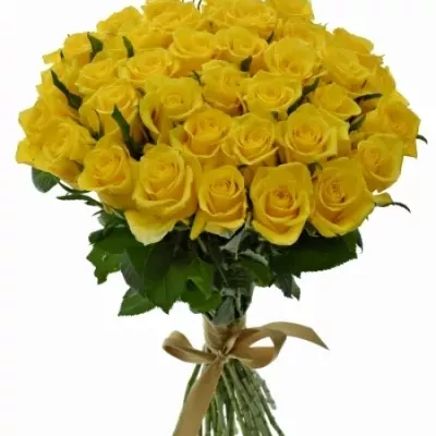 Kytice 35 žlutých růží YELLOWEEN