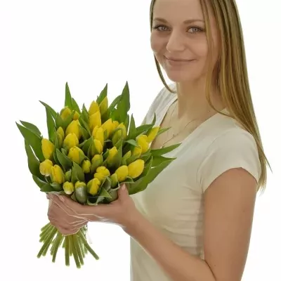 Kytice 35 žlutých tulipánů STRONG GOLD