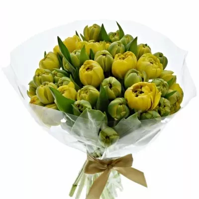 Kytice 35 žlutých tulipánů YELLOW POMPENE