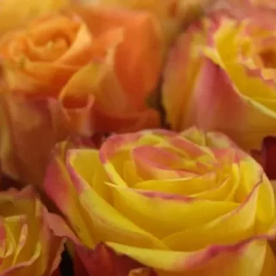 Kytice 45 míchaná EUFEMIA 50cm