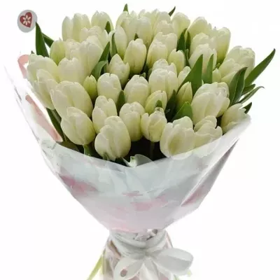 Kytice 50 bílých tulipánů ROYAL VIRGIN 35cm