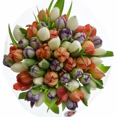 Míchaná kytice 50 ks BARRY