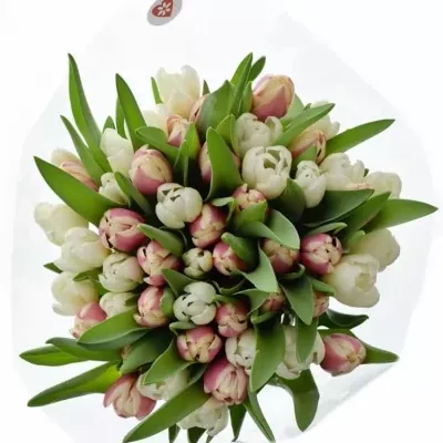 Míchaná kytice 50 ks ELYSE