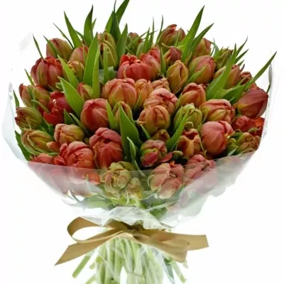Kytice 50 oranžových tulipánů VIKING