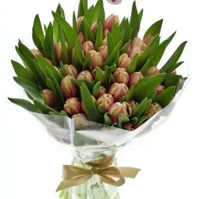 Kytice 50 růžových tulipánů LIFESTYLE 40cm