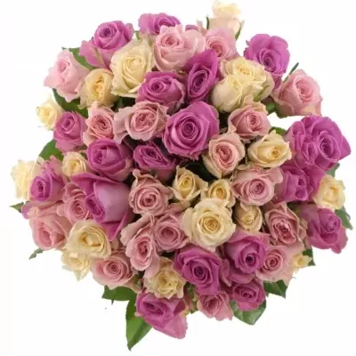 Míchaná kytice 55 vícebarevných růží ANACLETO 40 cm