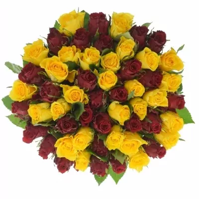 Míchaná kytice 55 vícebarevných růží ANATOLA 40 cm
