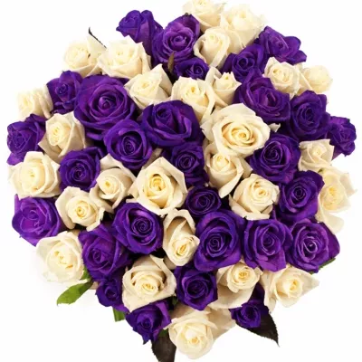 Míchaná kytice 55 vícebarevných růží AUGUSTINA 50 cm