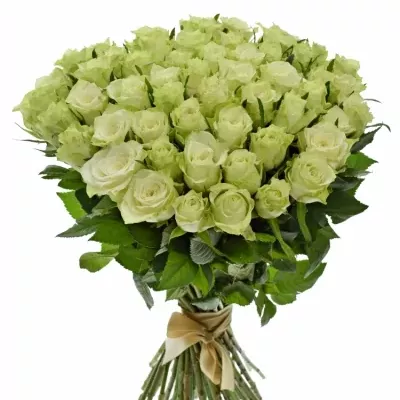 Kytice 55 bílých růží MURU 50 cm