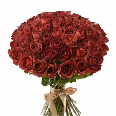 Kytice 55 červenohnědých růží CAFE DEL MAR