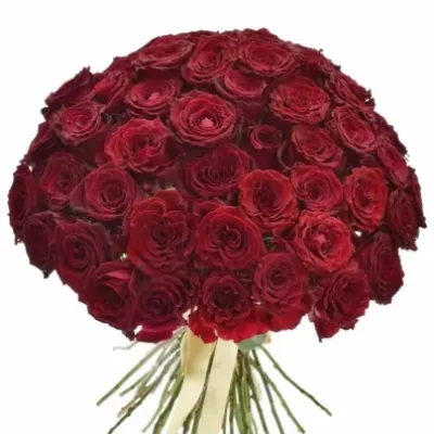 Kytice 55 červených růží ABBA