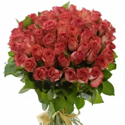 Kytice 55 červených růží BRENDT 50cm