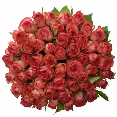 Kytice 55 růžových růží BRENDT 50cm
