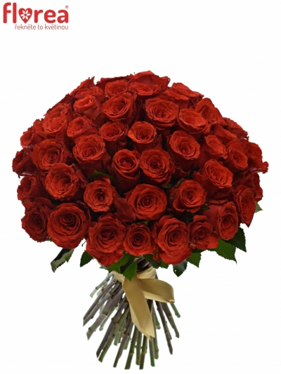 Kytice 55 červených růží BRIGHT TORCH 35cm