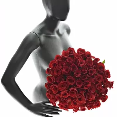 Kytice 55 červených růží FREEDOM 50cm