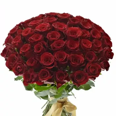 Kytice 55 červených růží MILLION REASONS