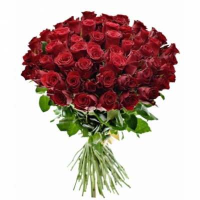 Kytice 55 červených růží RED BENTLEY