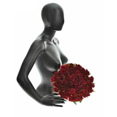 Kytice 55 červených růží RED CALYPSO