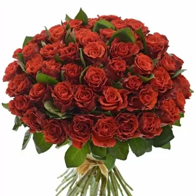 Kytice 55 červených růží RED CORVETTE 60cm