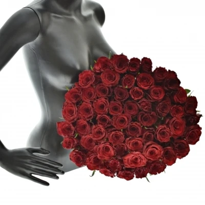 Kytice 55 červených růží RED MOUNTAIN 70 cm