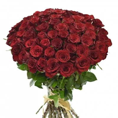 Kytice 55 červených růží RED MOUNTAIN 70 cm