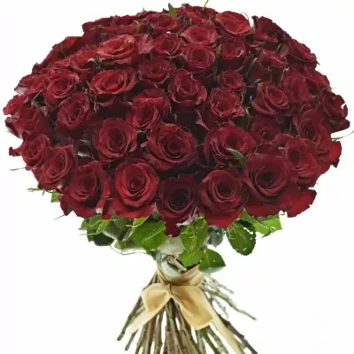 Kytice 55 červených růží RED PARIS 50cm
