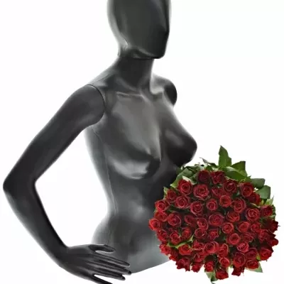 Kytice 55 červených růží RED RIBBON 50cm
