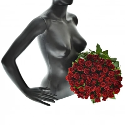 Kytice 55 červených růží SIMPLY RED