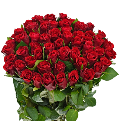 Kytice 55 červených růží SIMPLY RED