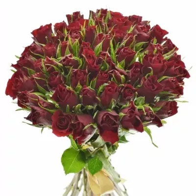 Kytice 55 červených růží VALENTINO