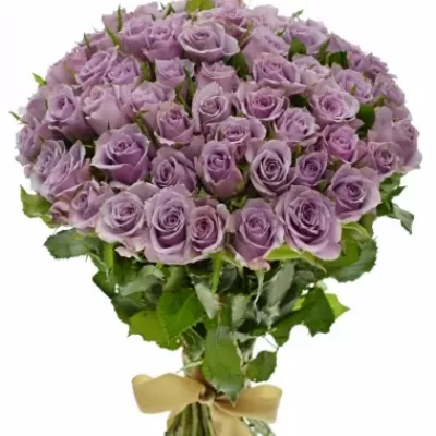 Kytice 55 fialových růží JAZZ 40cm