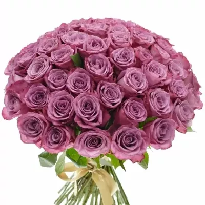 Kytice 55 fialových růží MARITIM