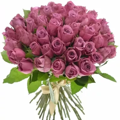Kytice 55 fialových růží NEW ORLEANS 40cm