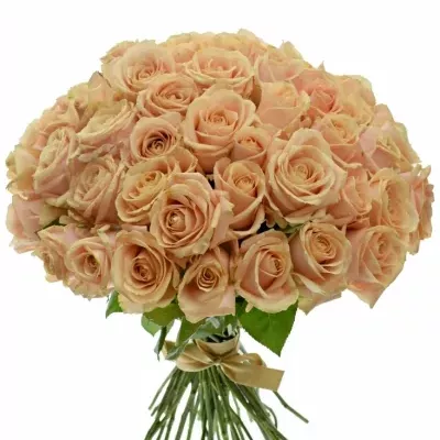 Kytice 55 krémových růží PEARL AVALANCHE+ 50cm