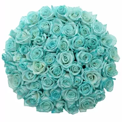 Kytice 55 ledově modrých růží ICE BLUE VENDELA 70cm