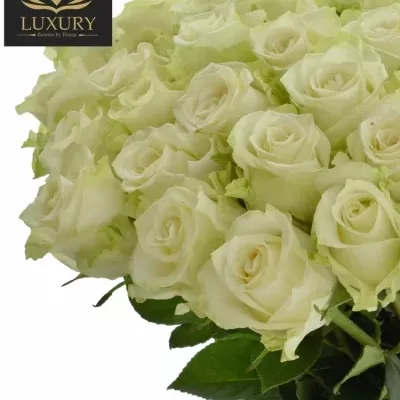 Kytice 55 luxusních růží ADALONIA 80cm