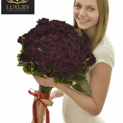 Kytice 55 luxusních růží BLACK BACCARA 70cm