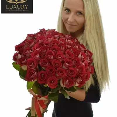 Kytice 55 luxusních růží BLUEZ+ 70cm