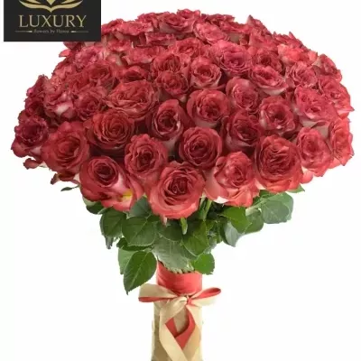  Kytice 55 luxusních růží DIABOLO