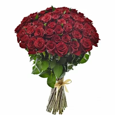 Kytica 55 luxusných ruží EVER RED 60cm