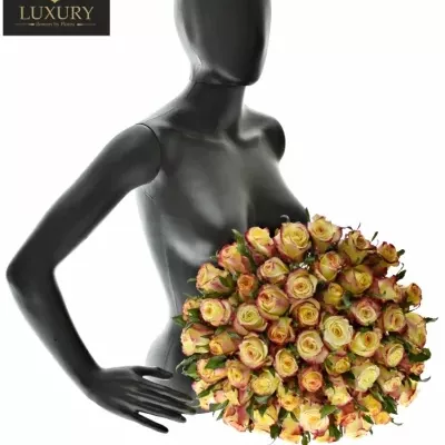 Kytice 55 luxusních růží KNOX 70cm