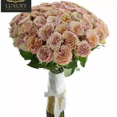 Kytice 55 luxusních růží MABELLA 60cm