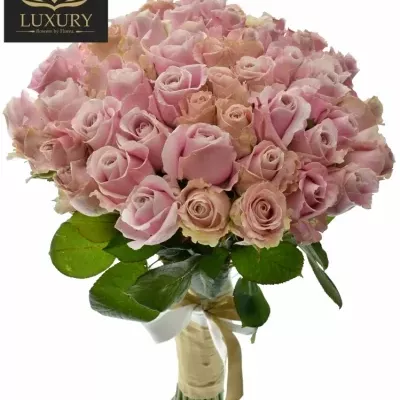 Kytice 55 luxusních růží PINK AVALANCHE+ 55cm