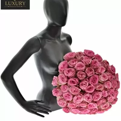 Kytice 55 luxusních růží PINK TORRENT 70cm
