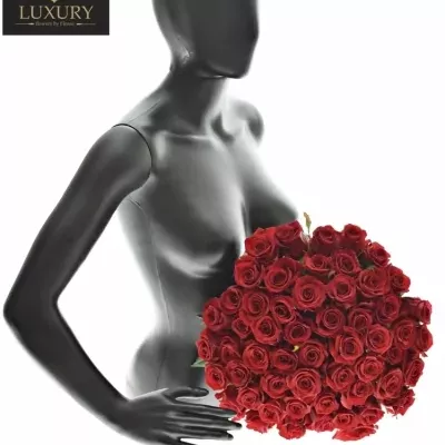 Kytica 55 luxusných ruží RED EAGLE 55cm