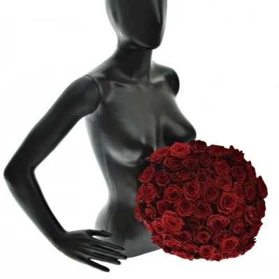 Kytice 55 luxusních růží TESTAROSSA 70cm