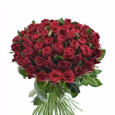 Kytice 55 malinových růží Red Tacazzi+