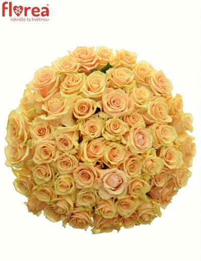 Kytice 55 meruňkových růží PEACH TACAZZI 60cm