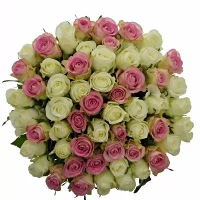 Míchaná kytice 55 vícebarevných růží AGAPA 60 cm